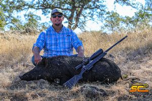 John's 2020 California Wild Pig Shasta County